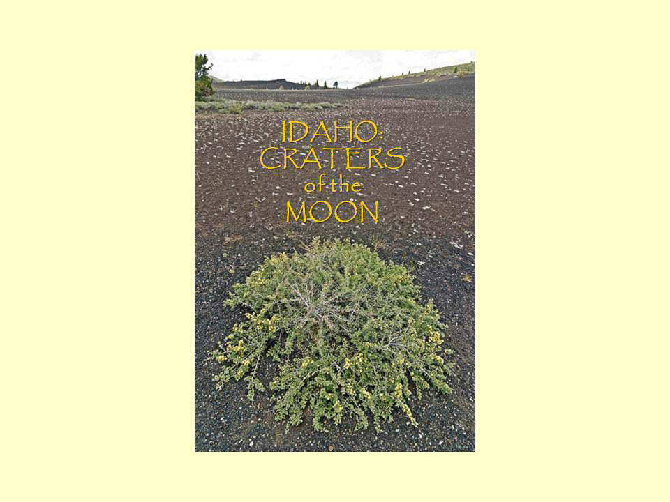 Slide01pp